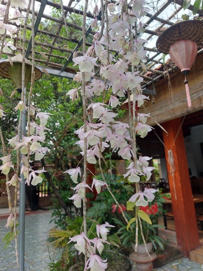 Trang An Family Homestay Ninh Binh Exterior photo