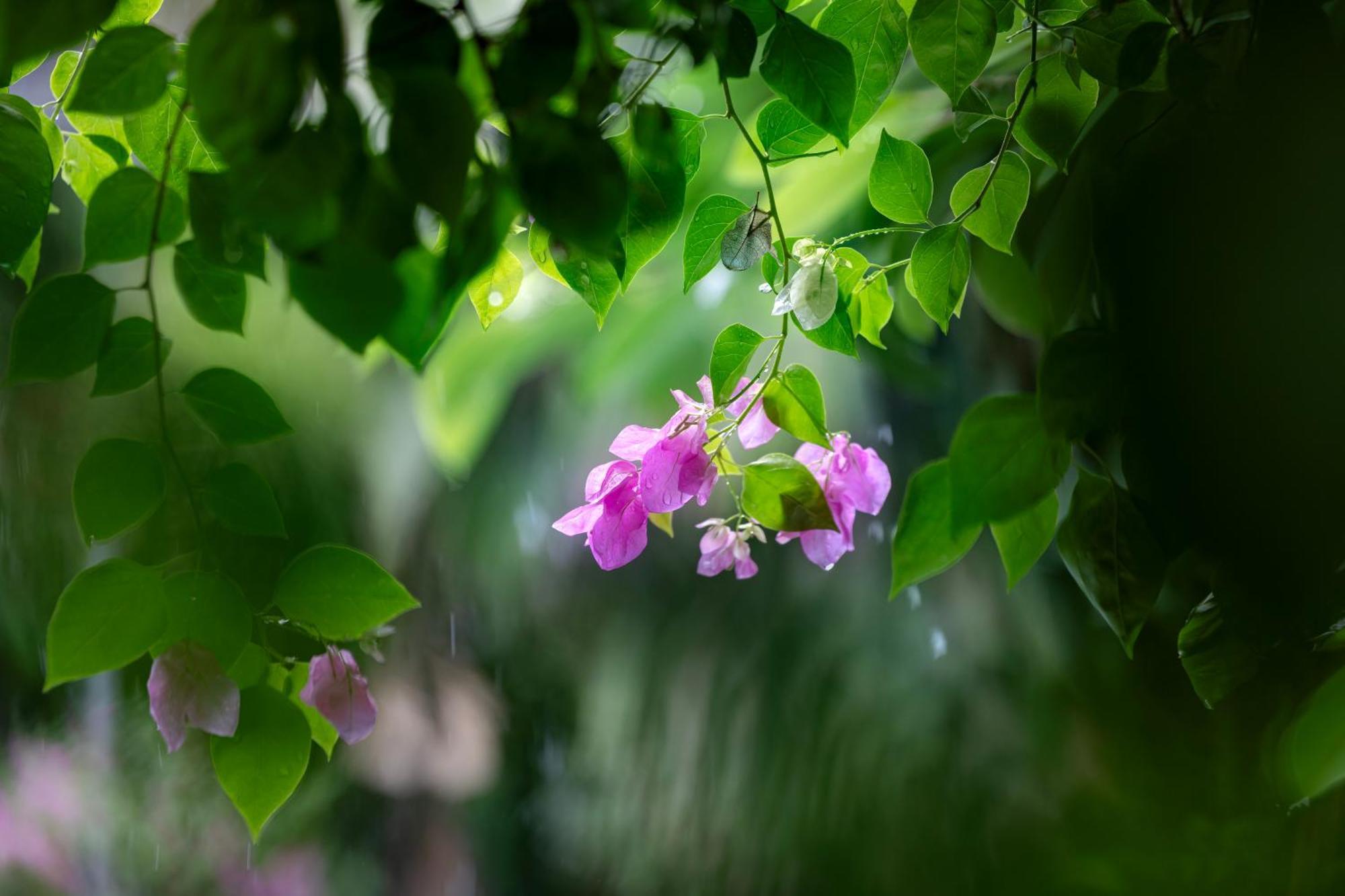 Trang An Family Homestay Ninh Binh Exterior photo